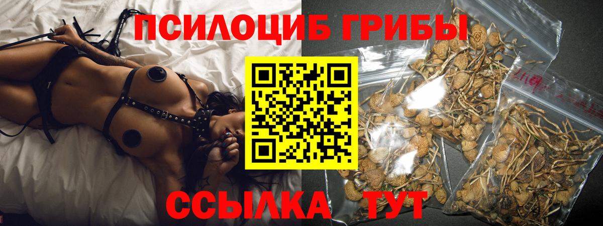 Псилоцибиновые грибы ЛСД Тверь