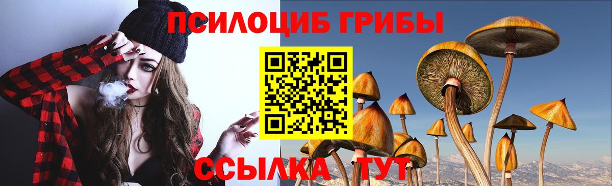 Псилоцибиновые грибы Тверь